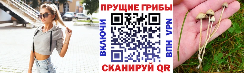 Псилоцибиновые грибы MAGIC MUSHROOMS  Сургут 