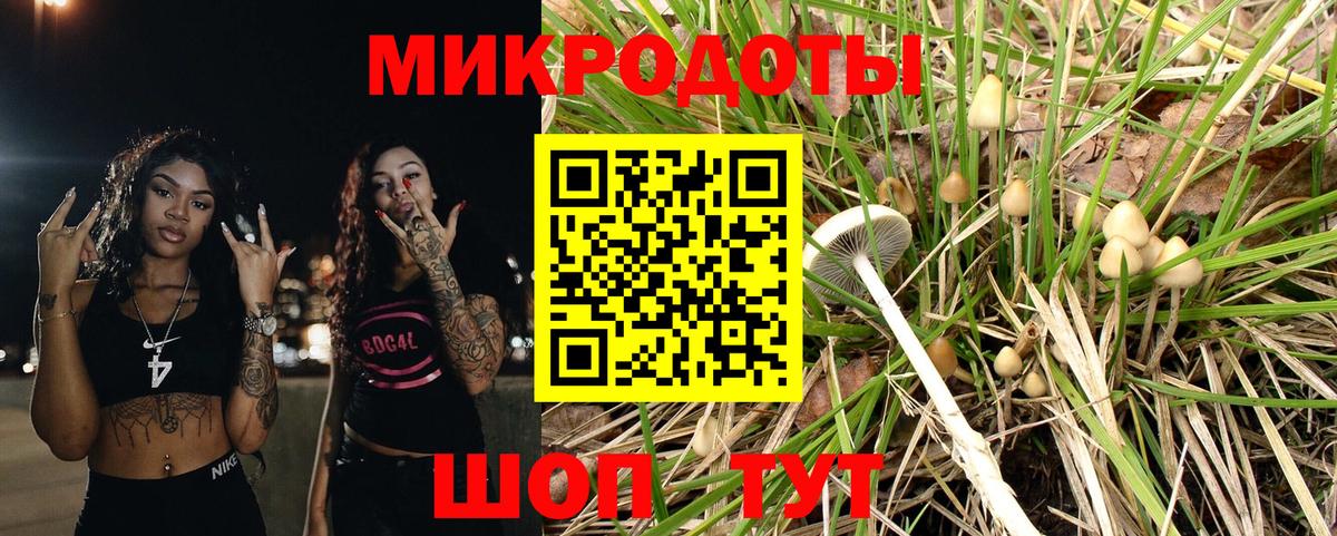 Псилоцибиновые грибы MAGIC MUSHROOMS Сургут