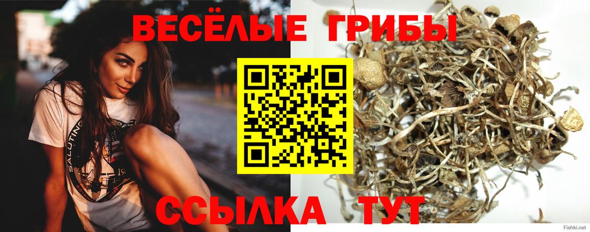 Псилоцибиновые грибы GOLDEN TEACHER  Вход с VPN  Сургут 
